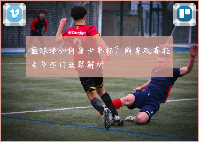 篮球迷如何看世界杯？跨界观赛指南与热门话题解析