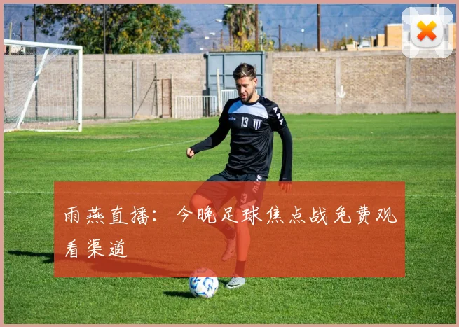 雨燕直播：今晚足球焦点战免费观看渠道