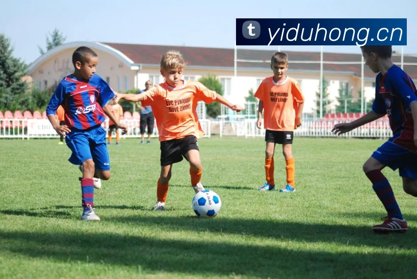 多媒体互动体验